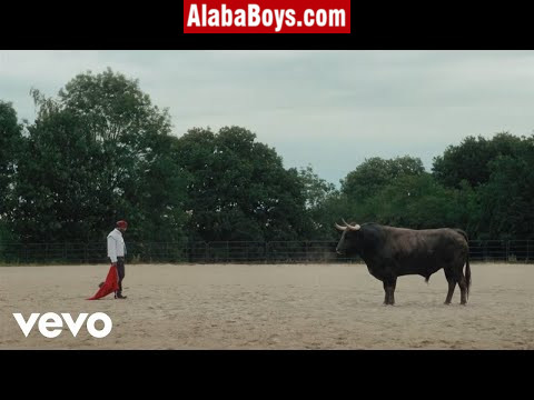 Download Asake – MCBH (Mp4 Video)